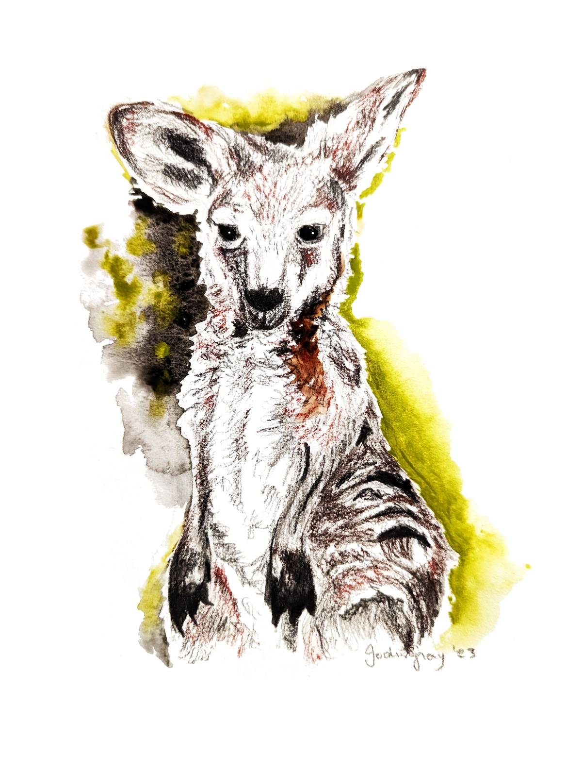 Joey Kangaroo