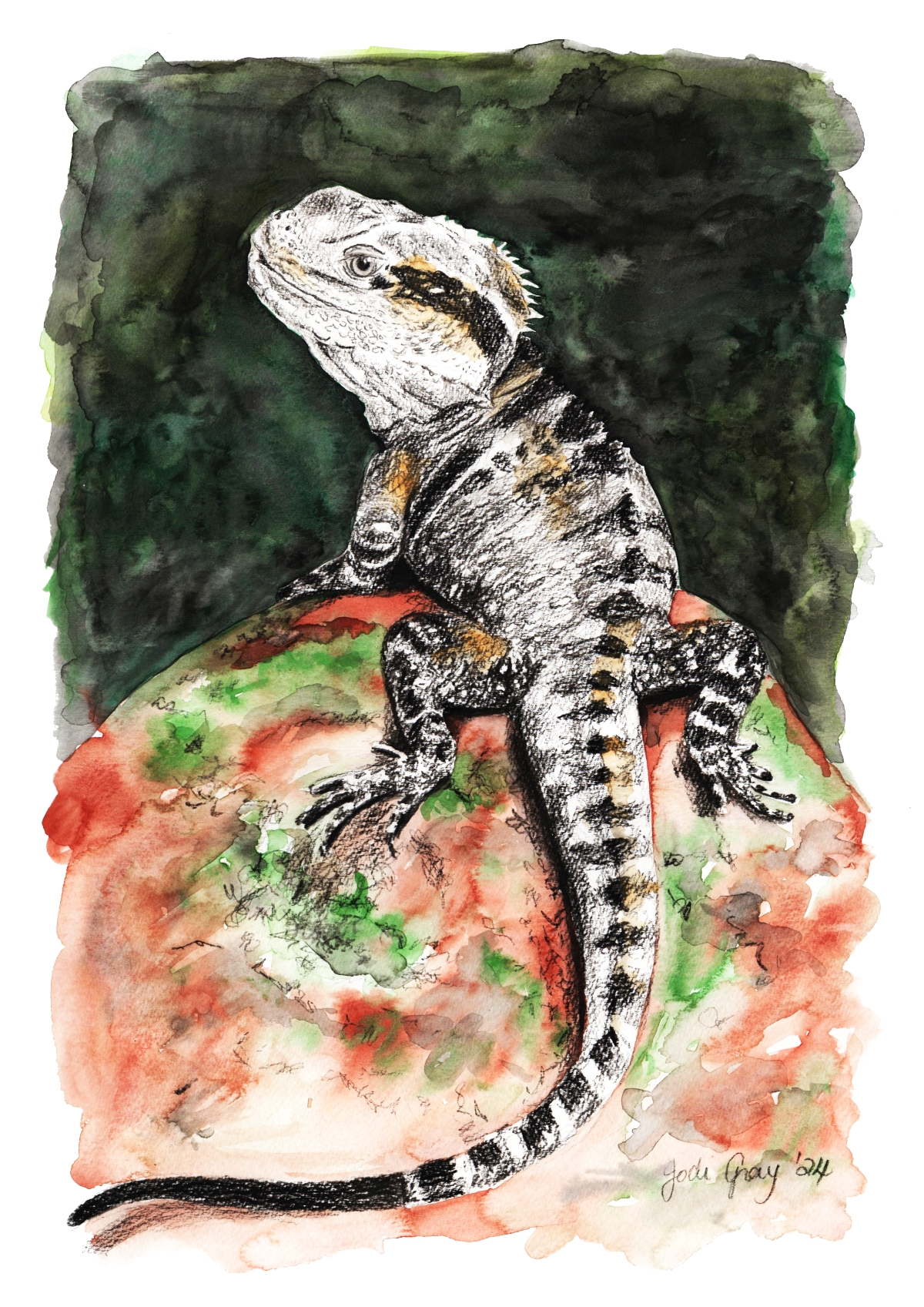 Eastern Water Dragon