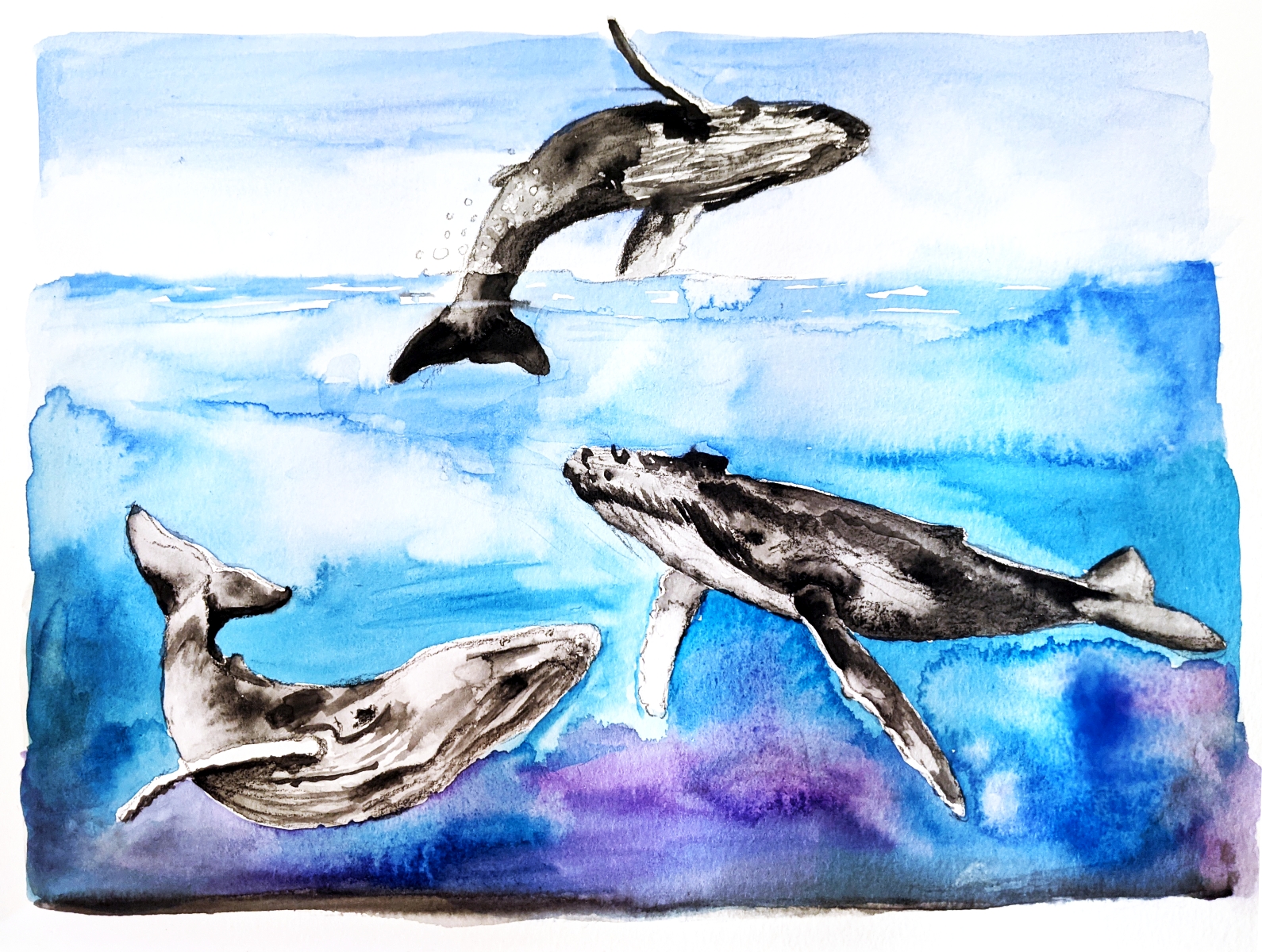 Three Whales
