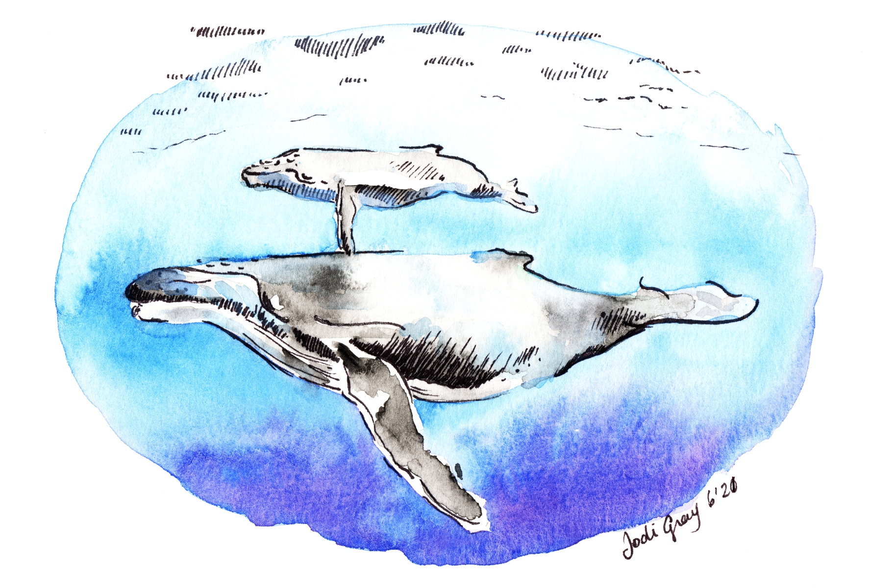 Whale and Calf