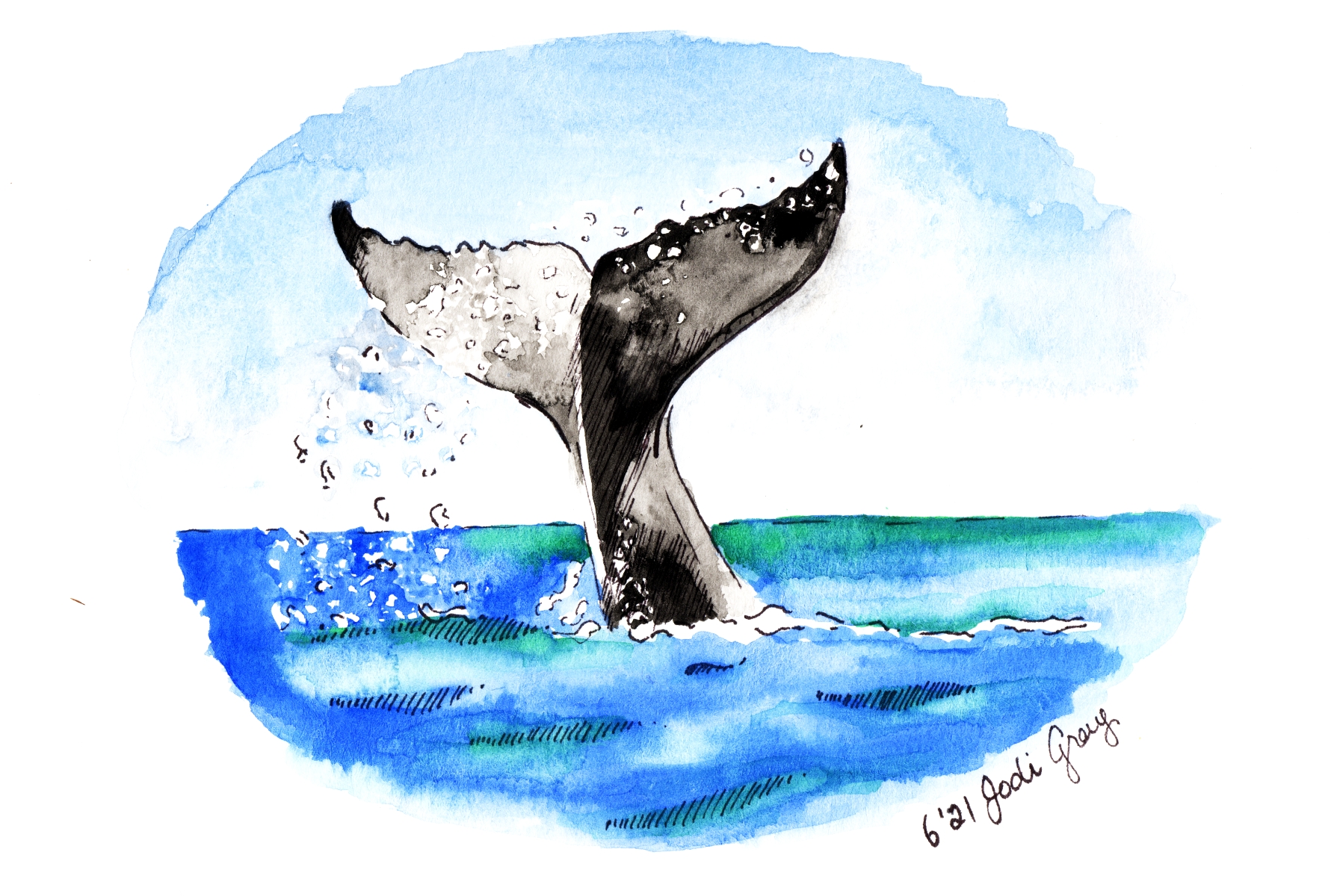 Whale Tail