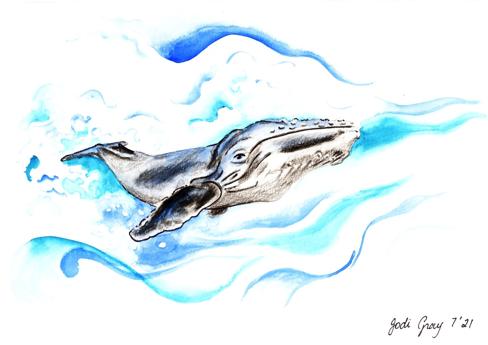 Whale Majestic