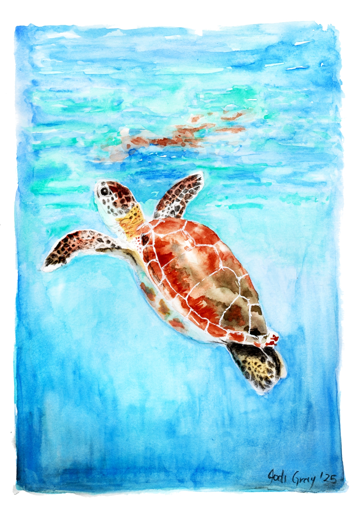 Green Turtle