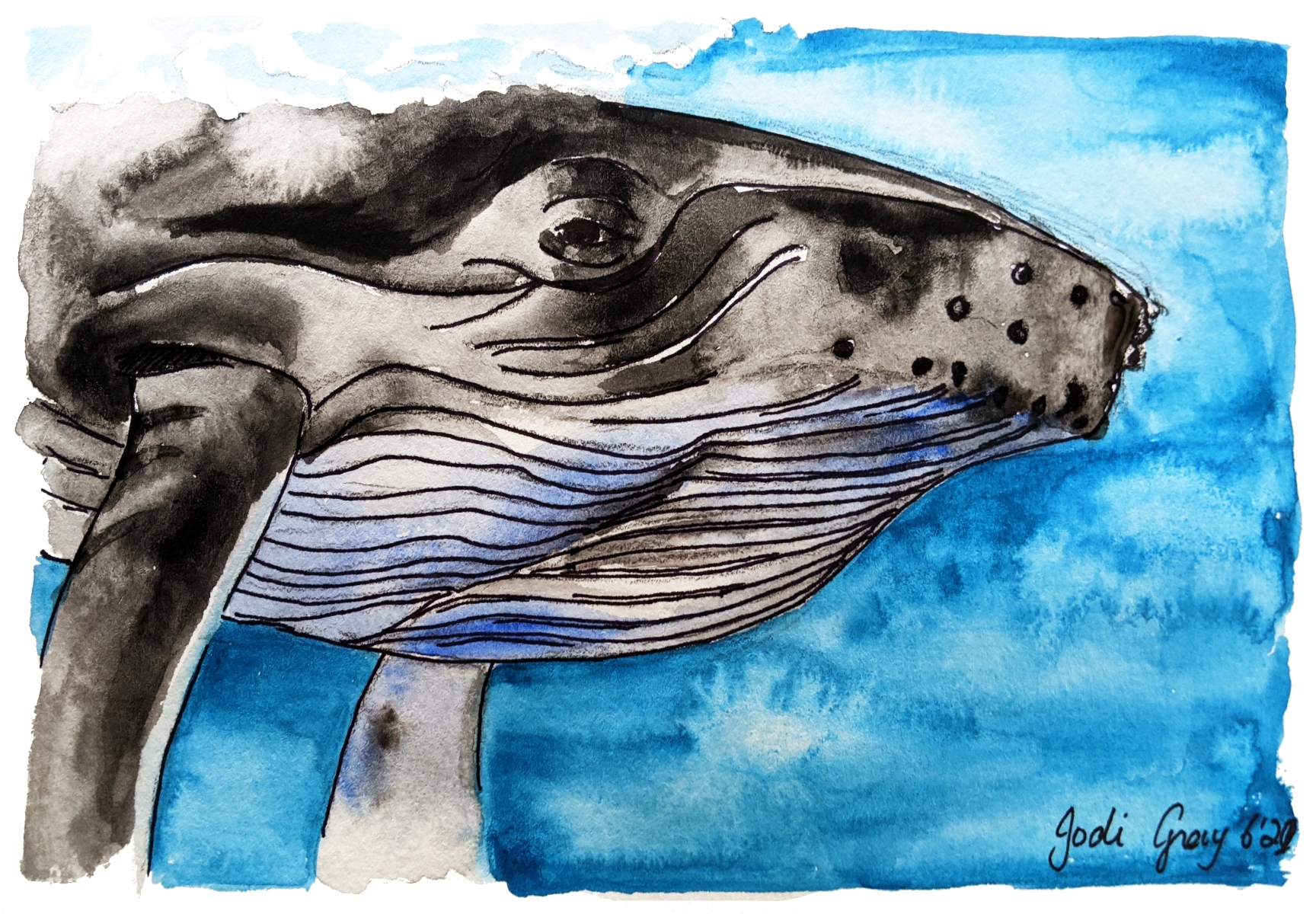 Whale’s Eye View