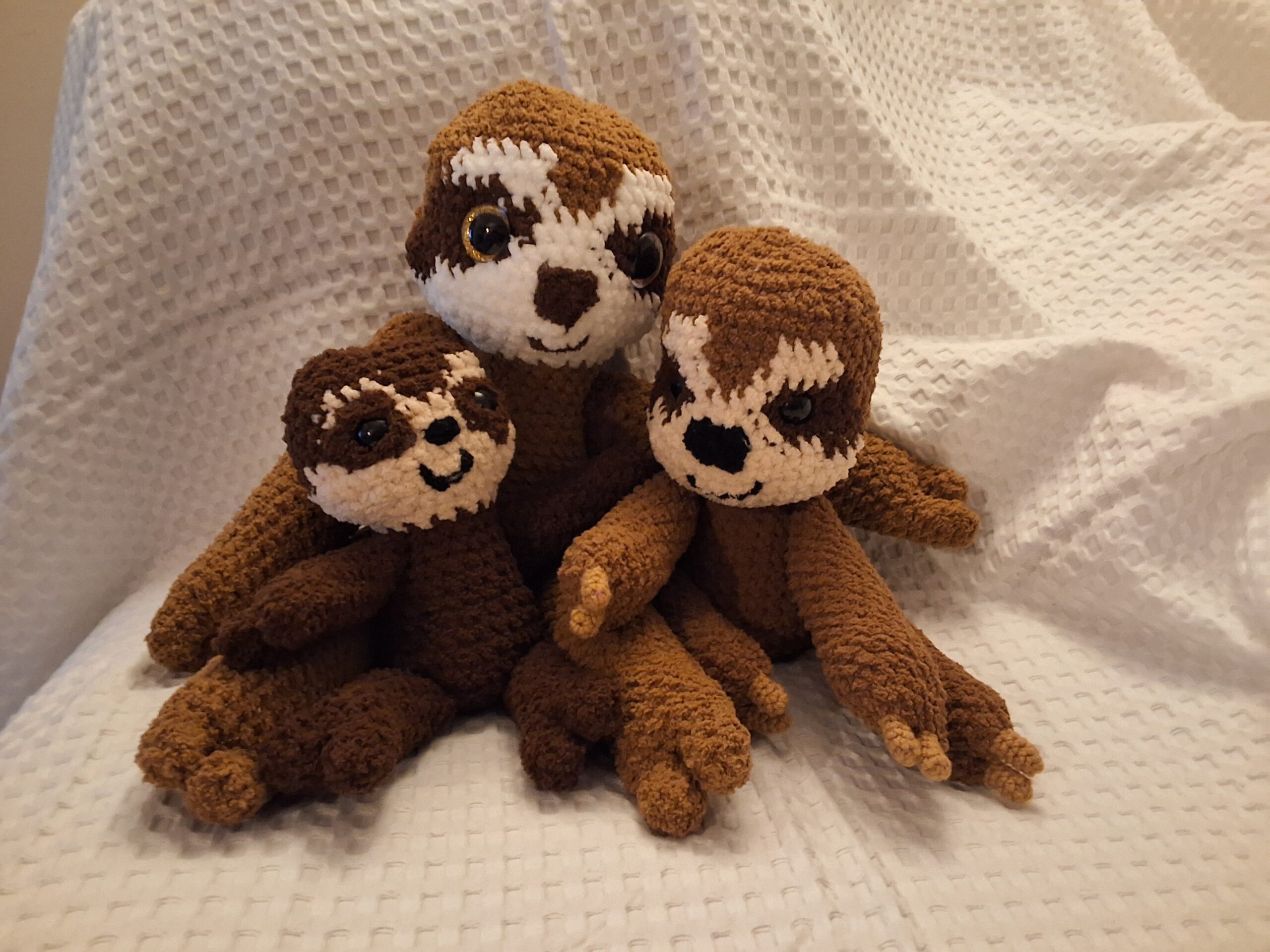 Sloths