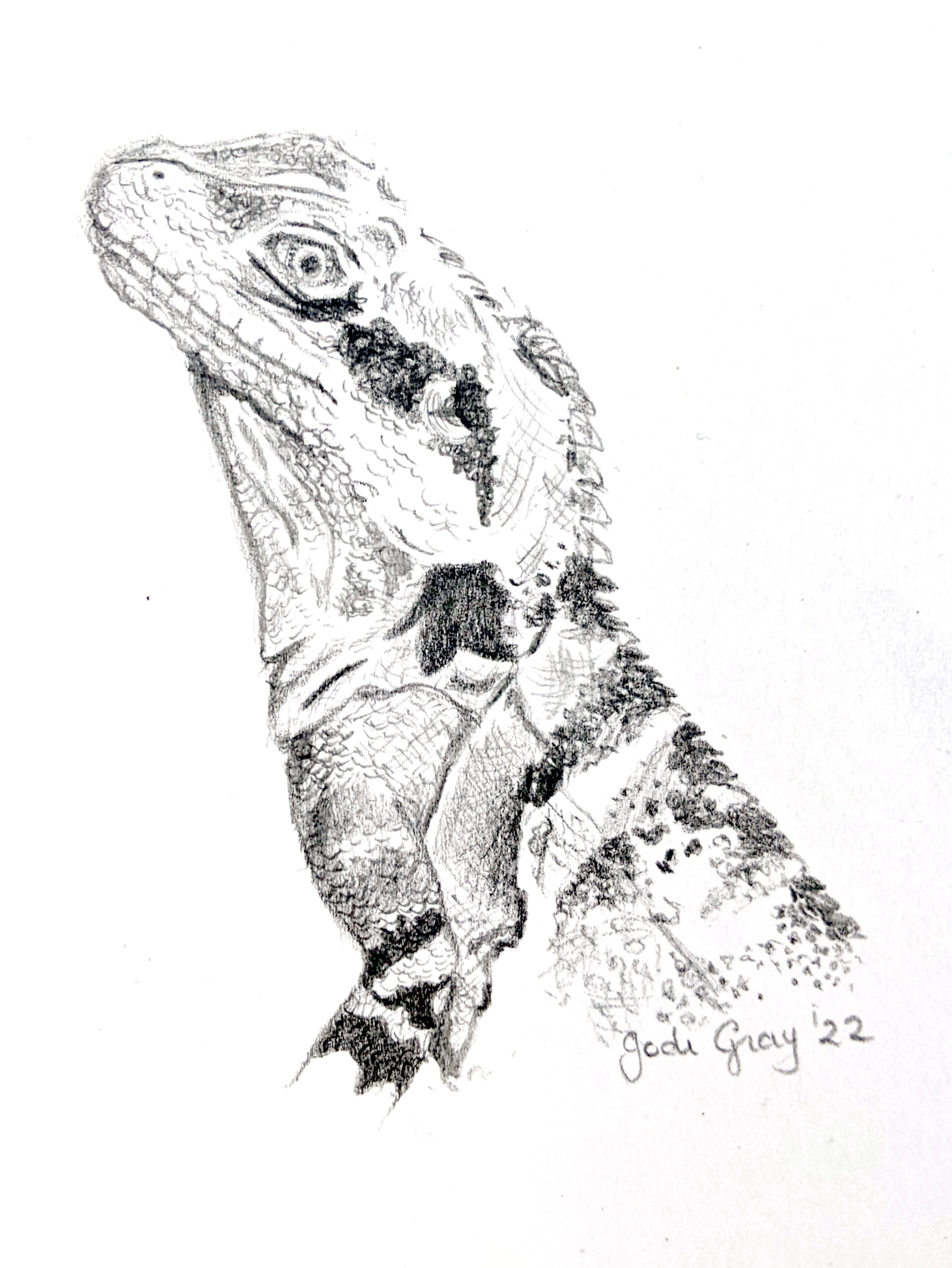 Water Dragon Pencil