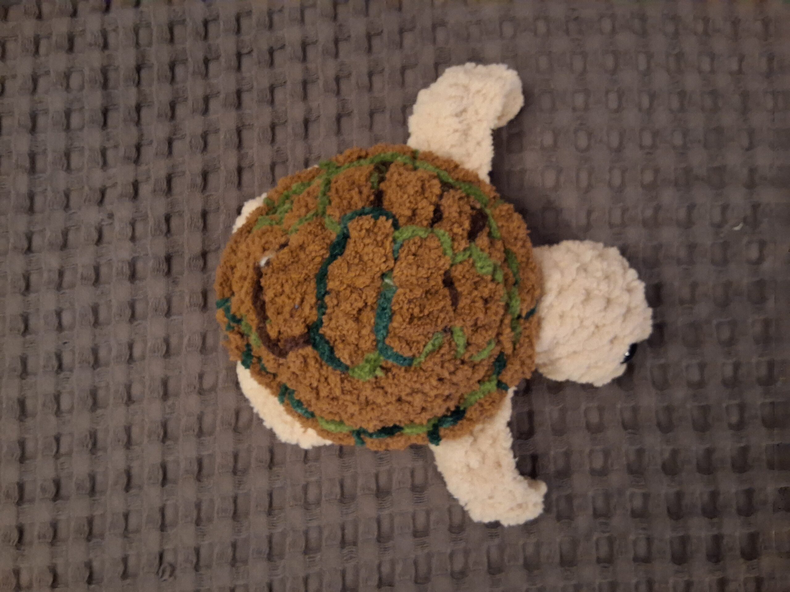 Turtles