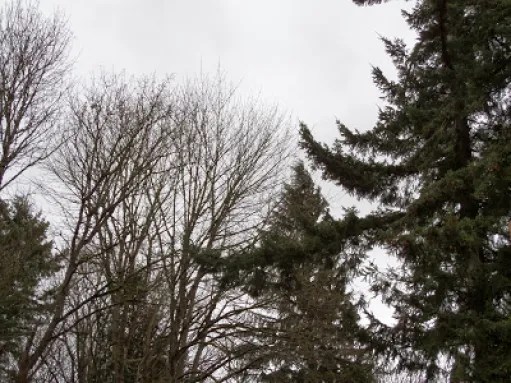 January, Latitude 47