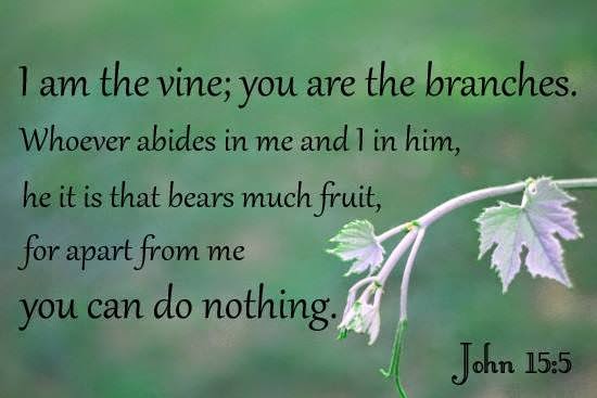 Abiding in the Word