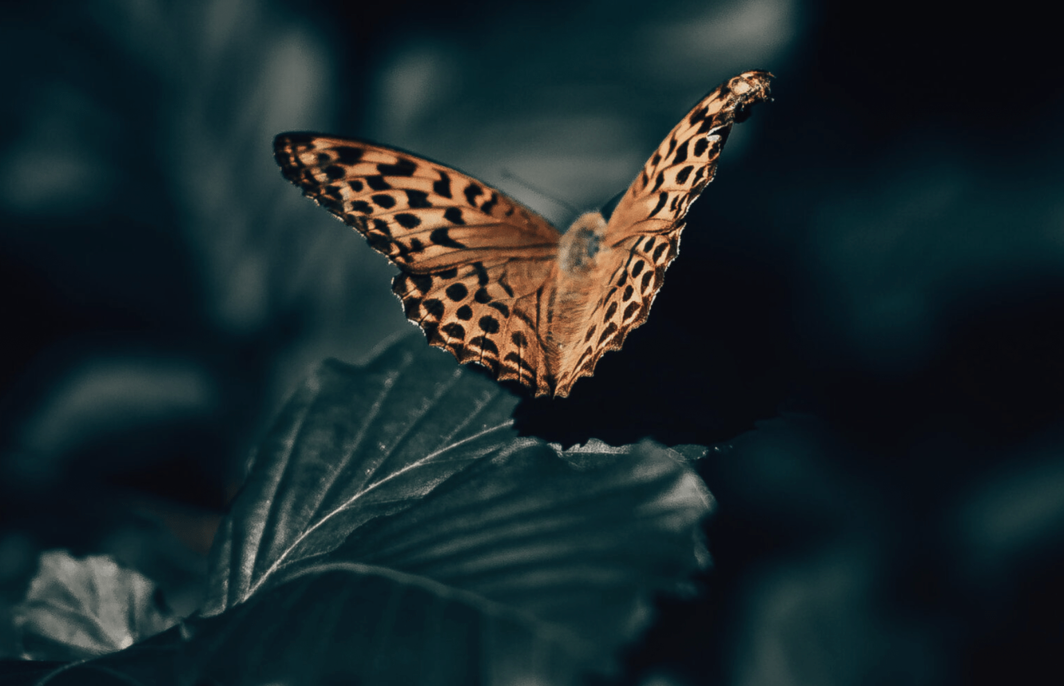 How to Measure Time {a #poem}