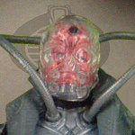 commanderkrang