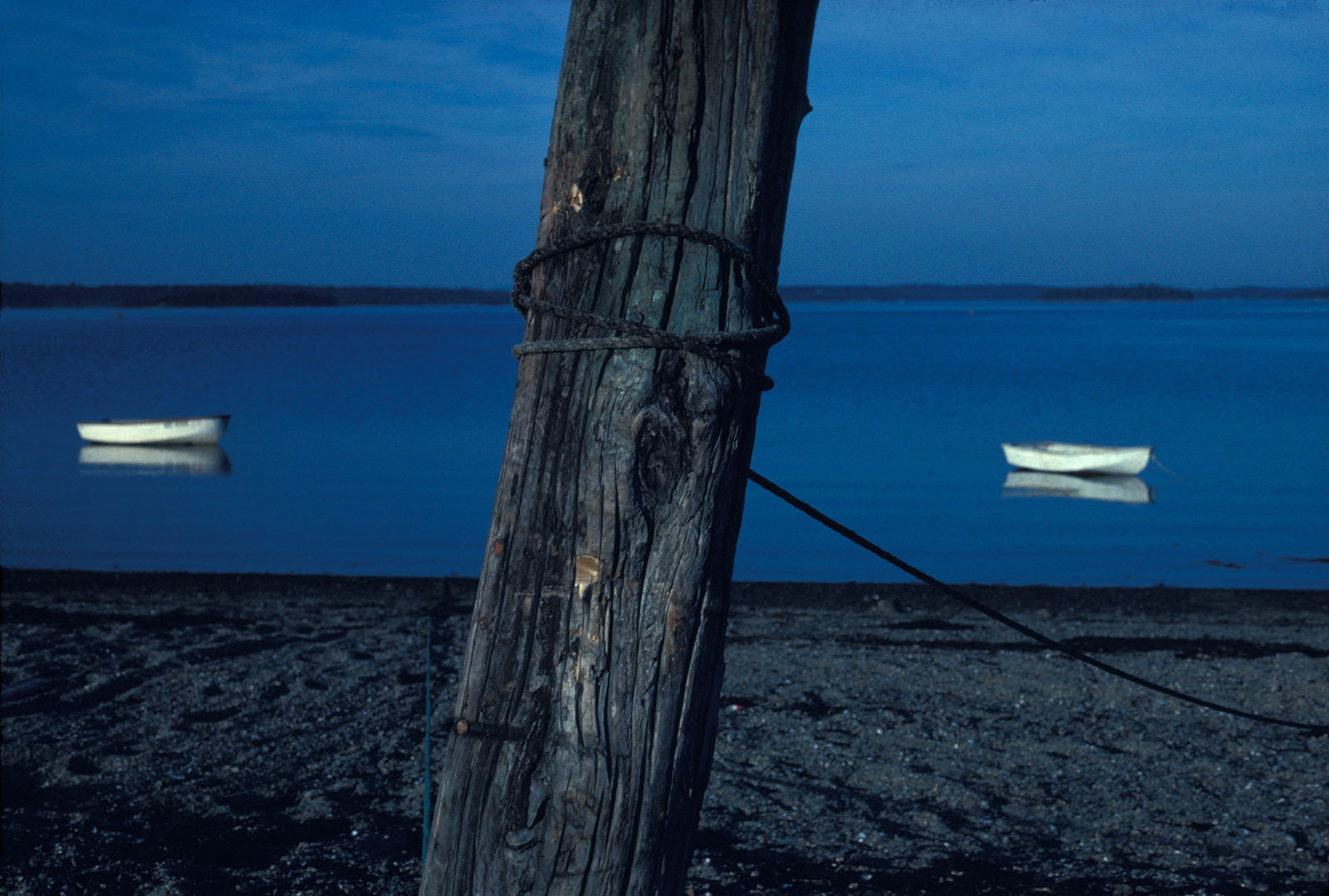 Blue Evening, by Joel Mason.