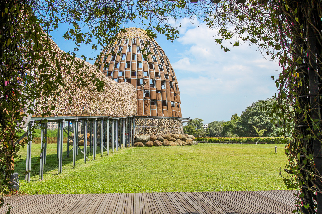 嘉義市區，森林之歌~