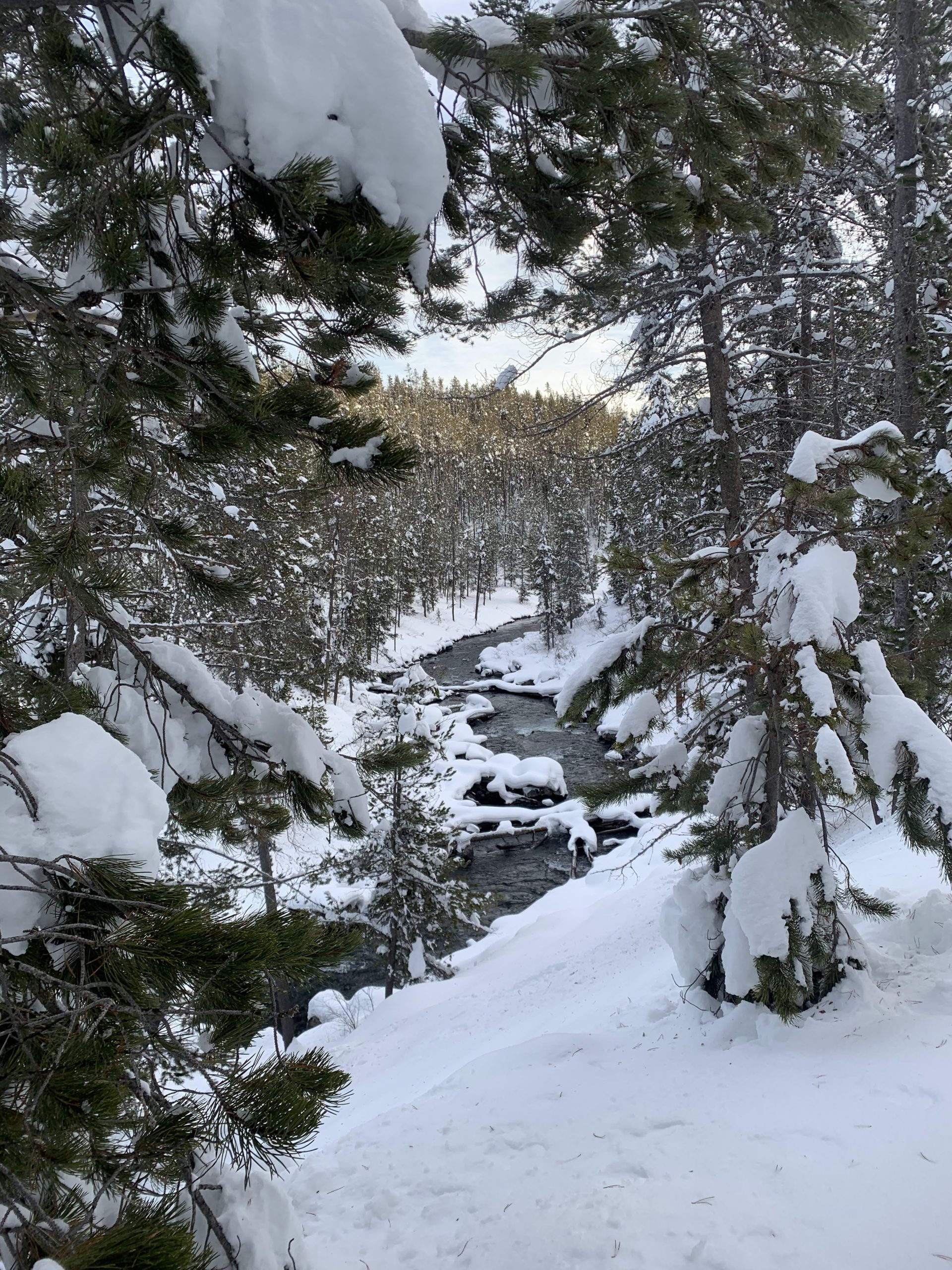 Rivers freeze with snow capped trees