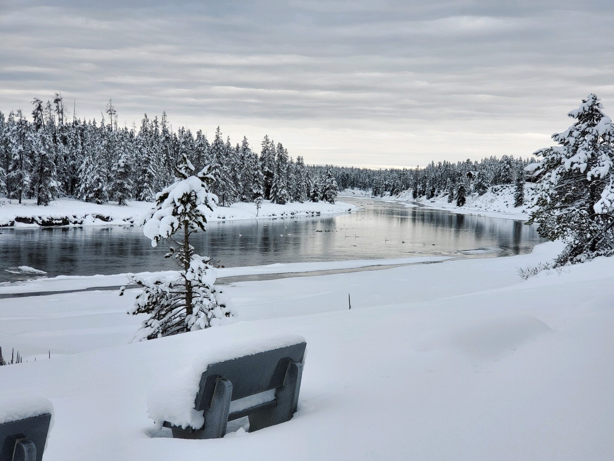 River surrounded by snowy banks and snowy trees
