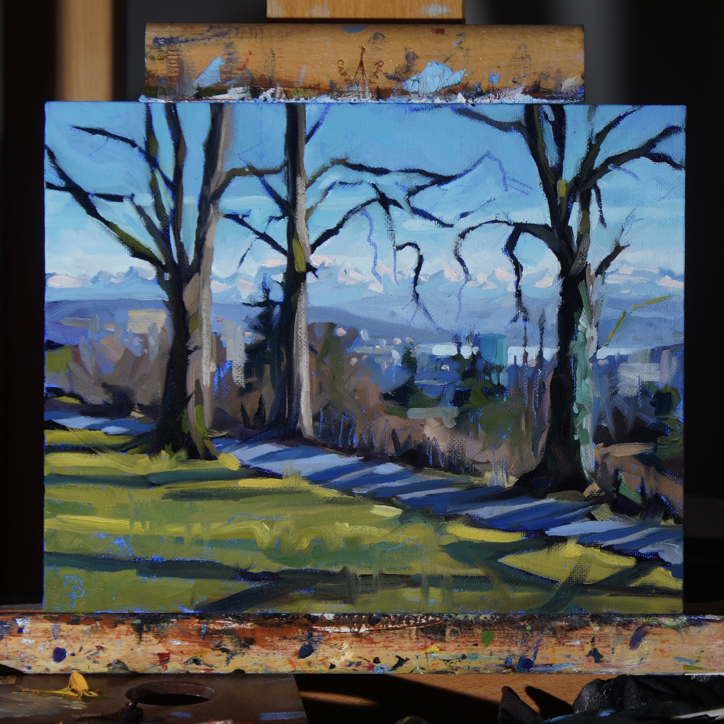 Zürich von Höngg aus gesehen