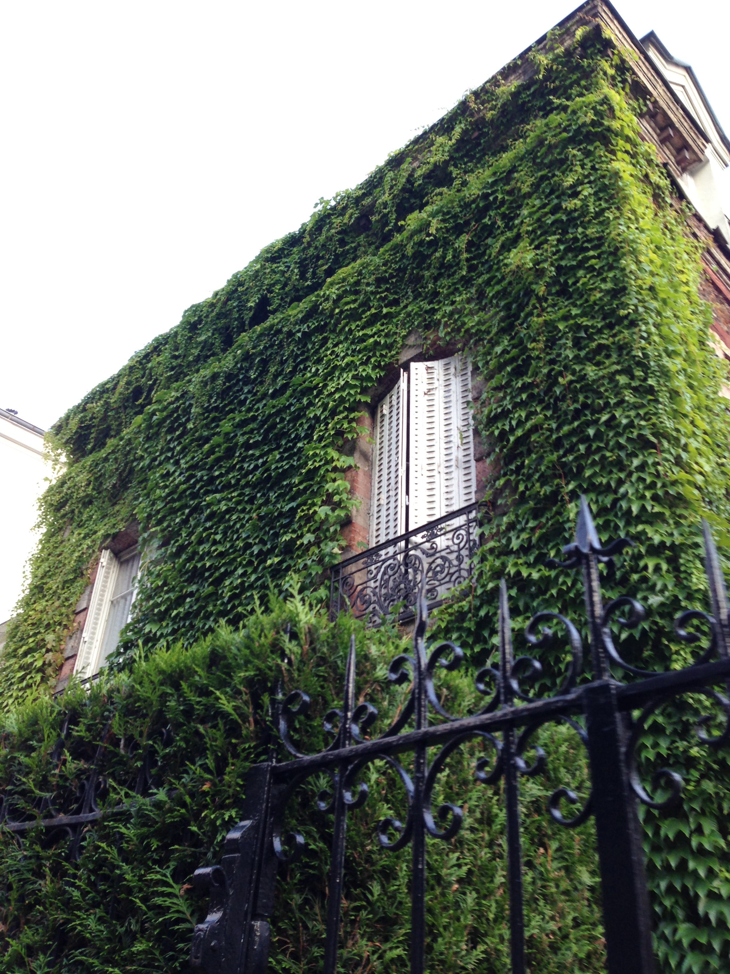 House filled with vine