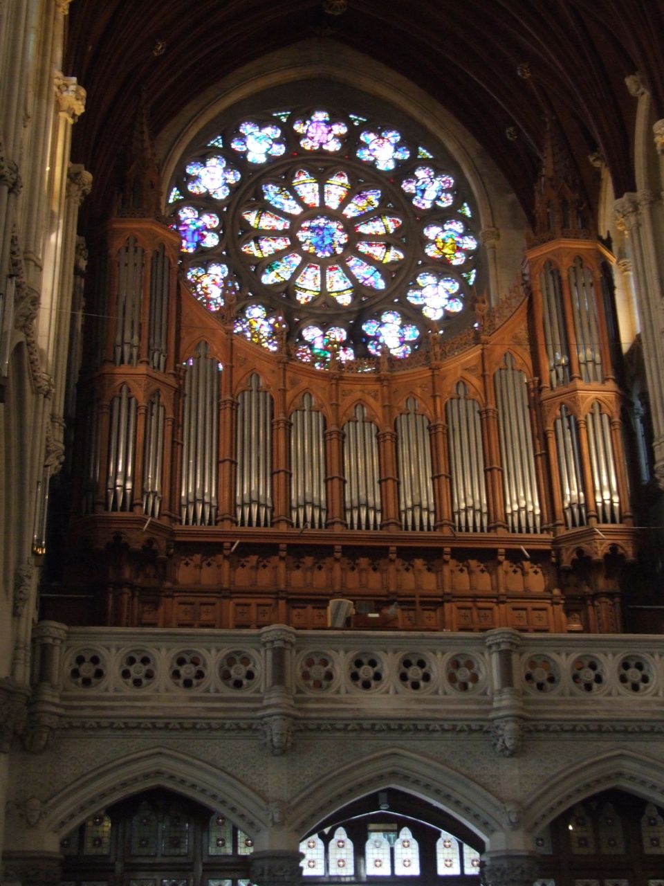 The Rose Window & Pipe Organ.