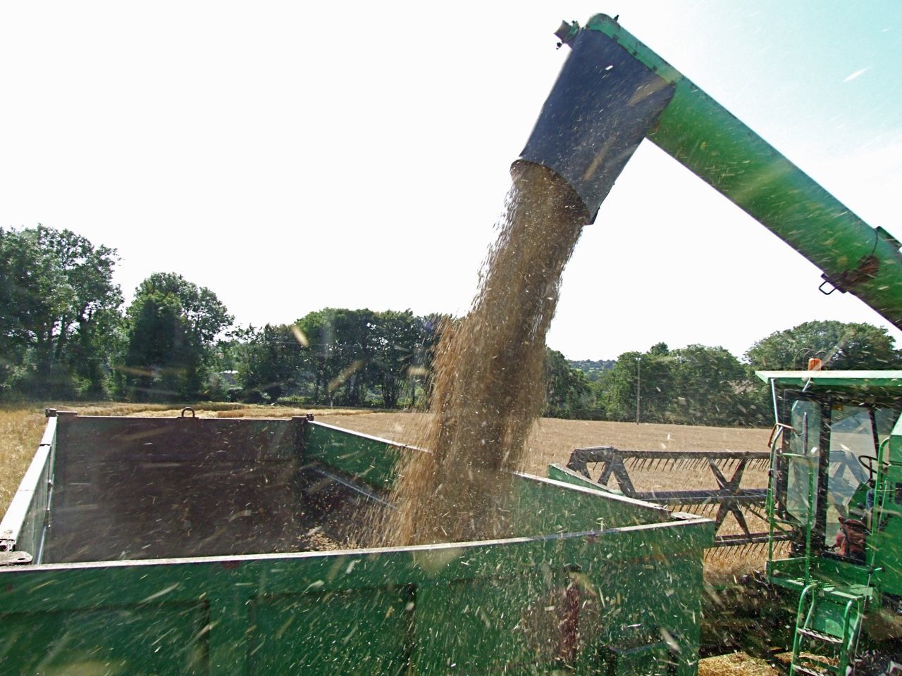 I stood on the back wheel of the tractor to get this one, pity that I got filthy in the process!