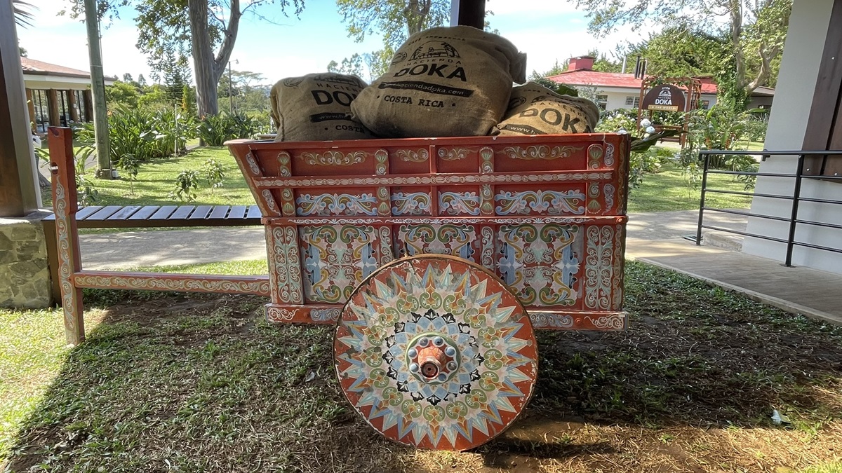 A taste of Costa Rica