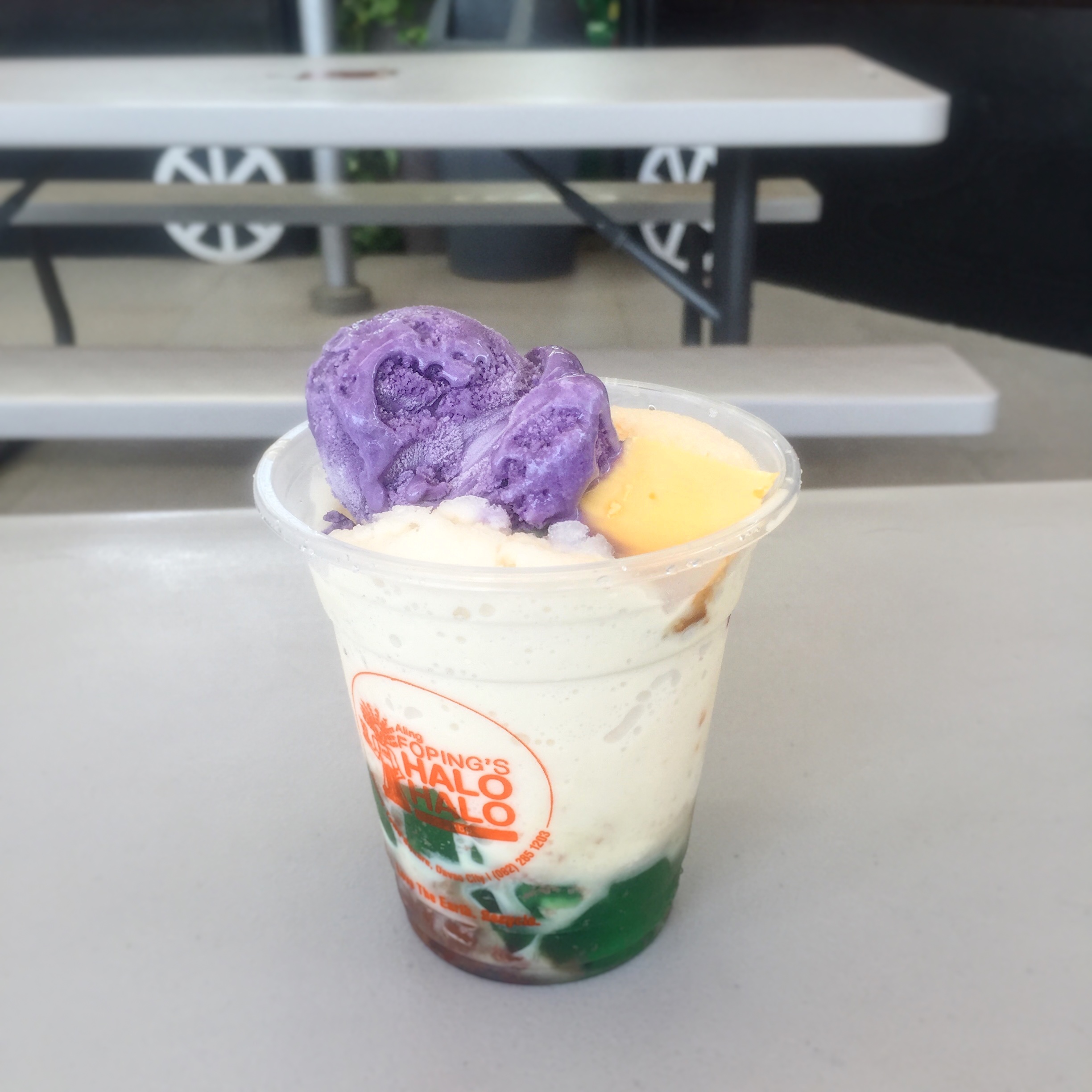HALO-HALO