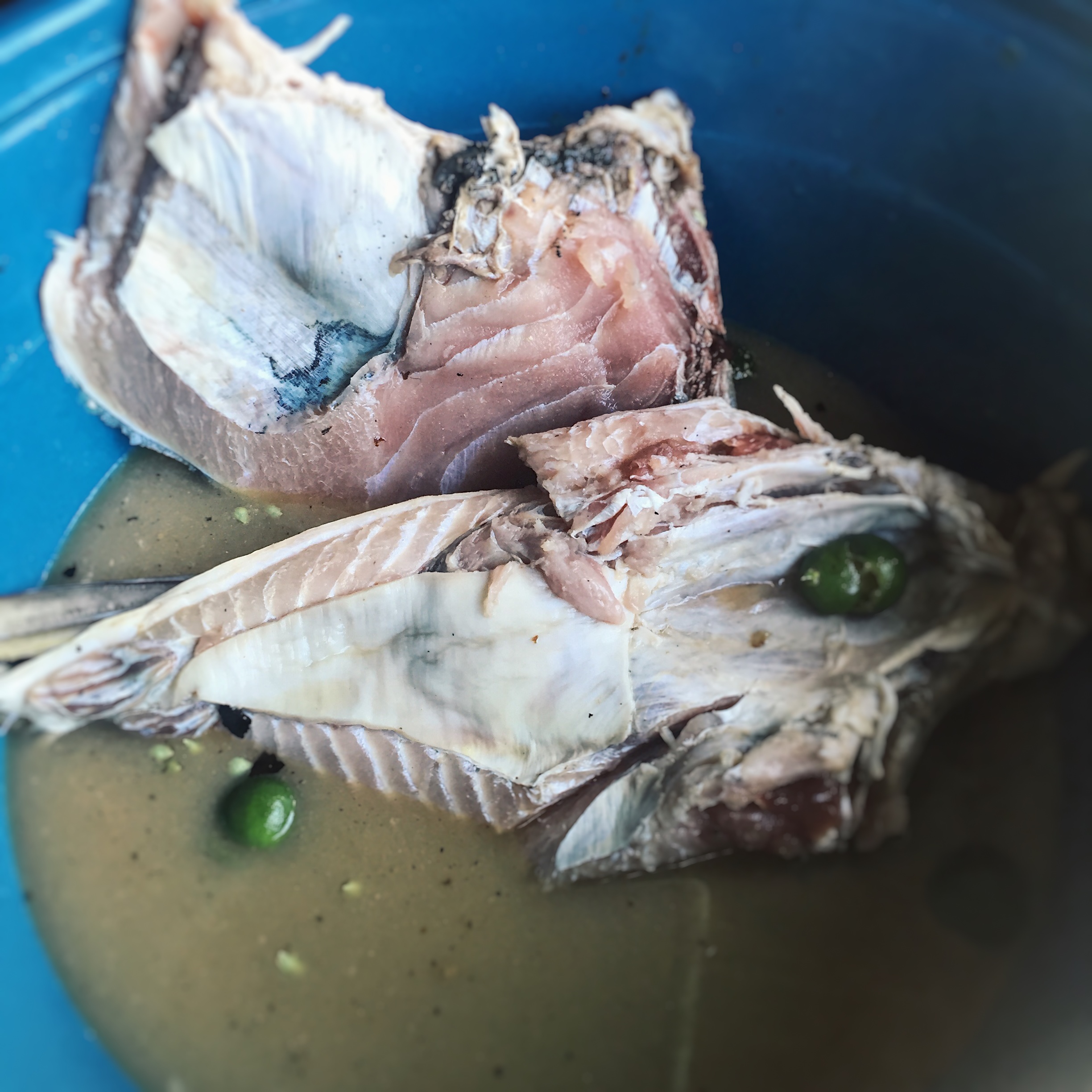 Processed with VSCO with g3 preset