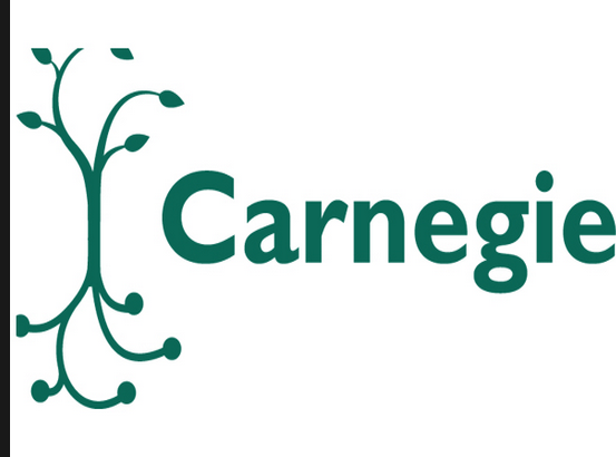Carnegie Foundation Cites 2 Vincentian Universities