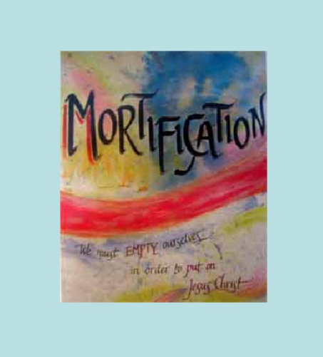 Vincent’s 5 smooth stones – Mortification