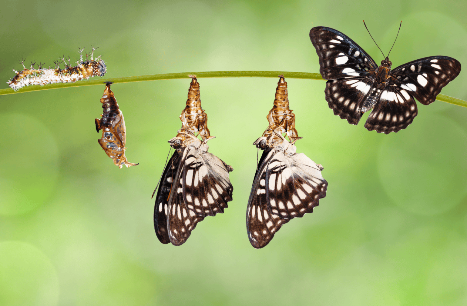 Experiencing a transforming encounter with God