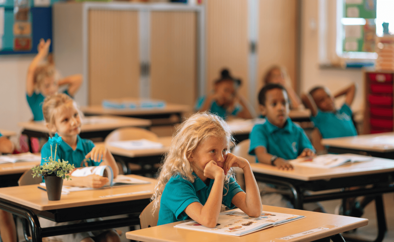 What Did You Learn In School Today?