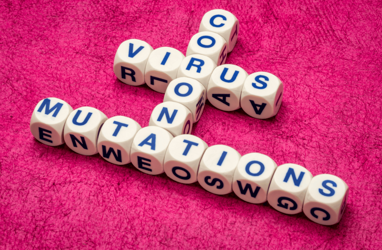 The Mutating Vincentian Virus