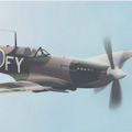 spitfire thumbnail