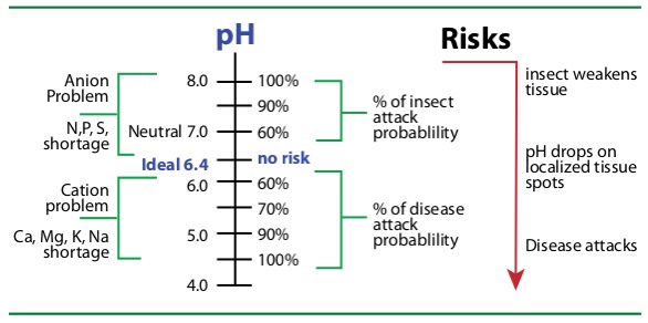 Sap pH as a susceptibility indicator - John Kempf
