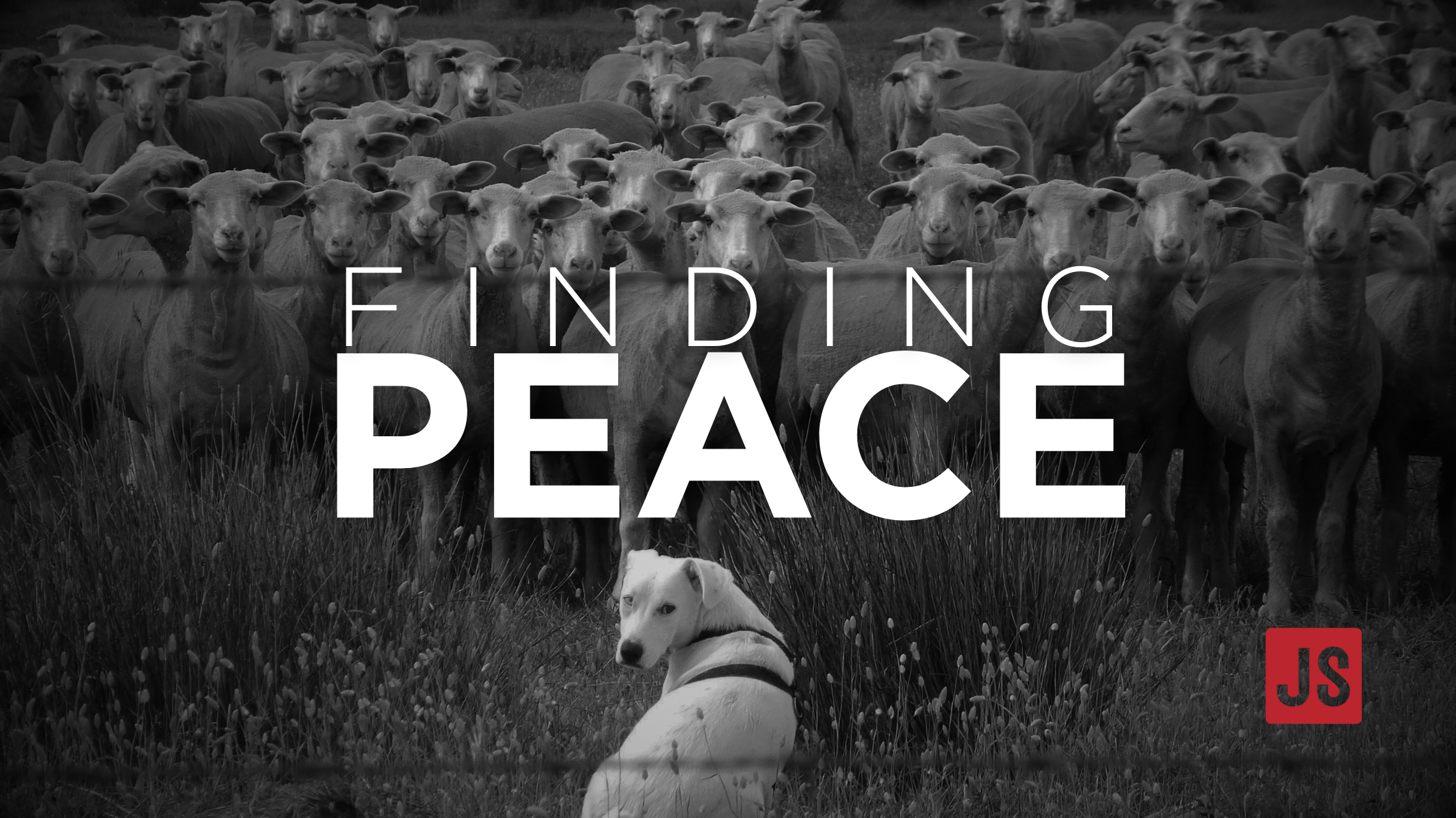 Finding Peace