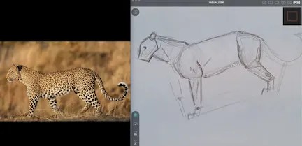 Africa Series: Comparative Cats (Feb. 2, 2023)
