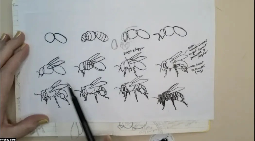 Stewardship and Bees with Stephey Baker (Apr. 27, 2023)