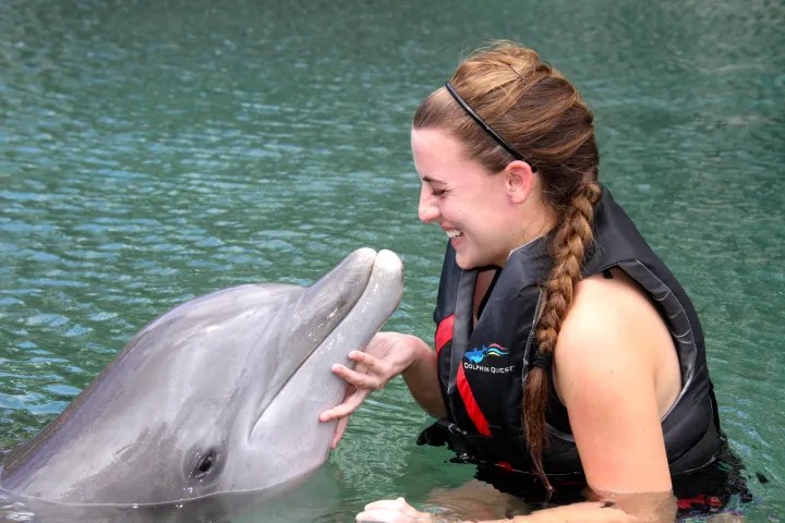 Dolphin Encounter by Dolphin Quest