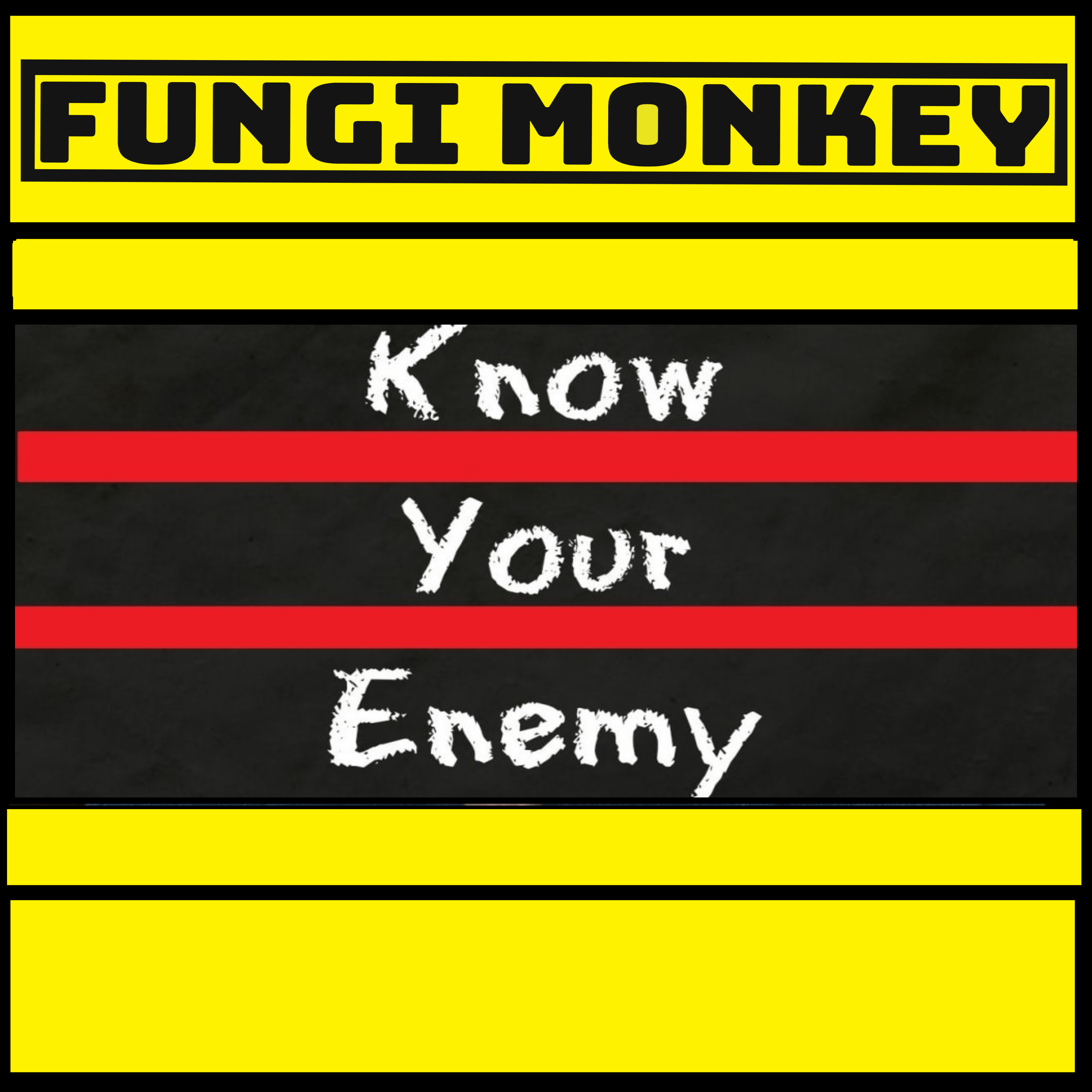 Johnny’s Data Diving Part 4