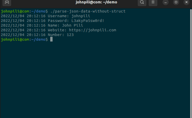 How To Parse JSON Data Without Struct In Golang - John Pili