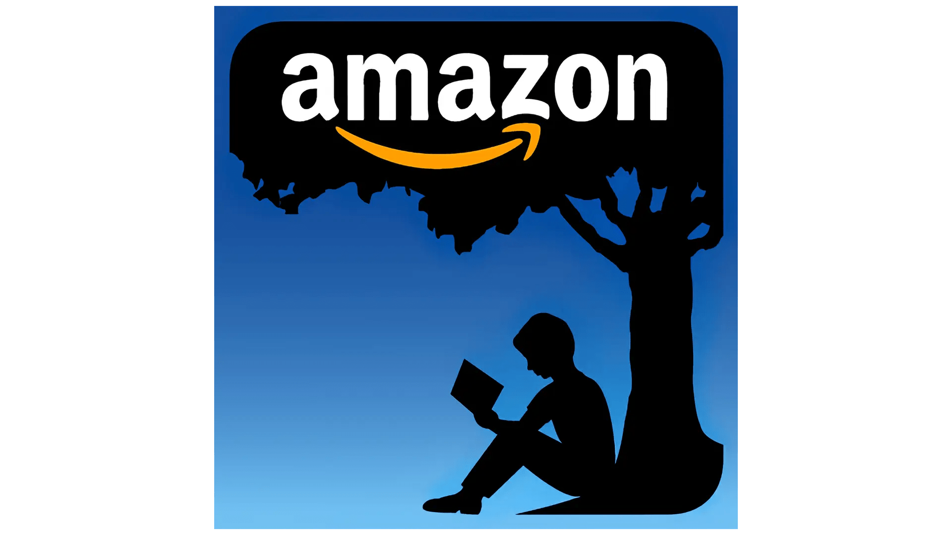 Amazon kindle books