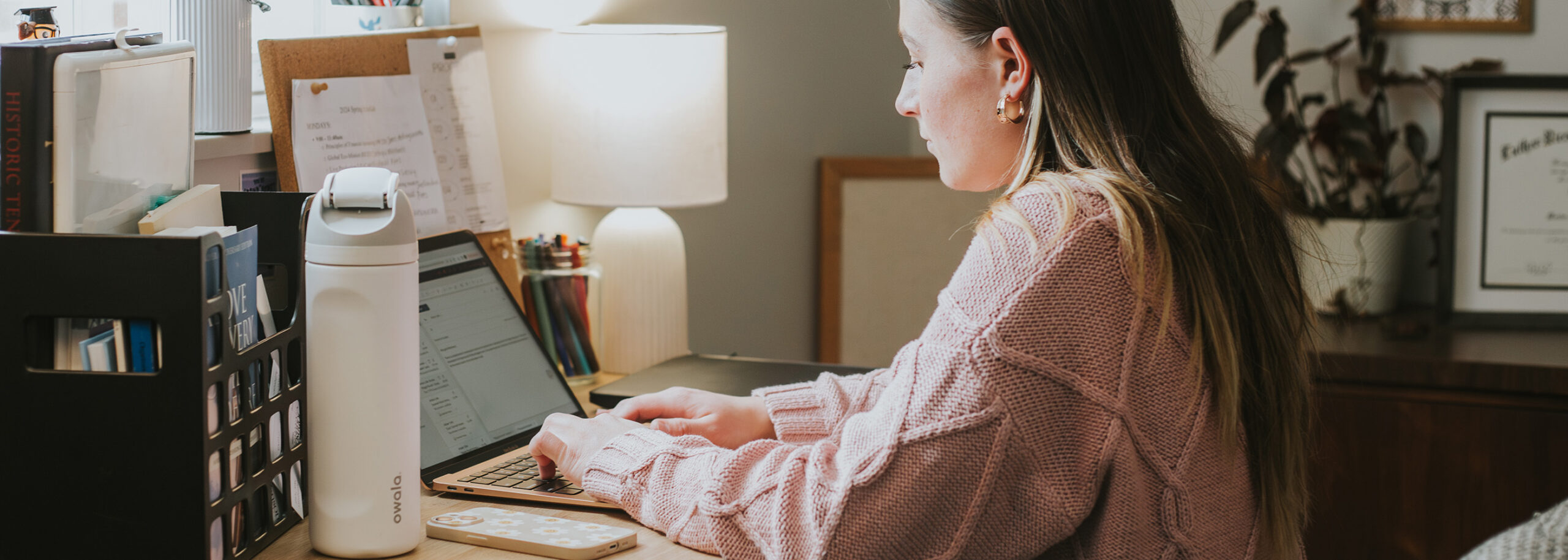 Online Programs-Header