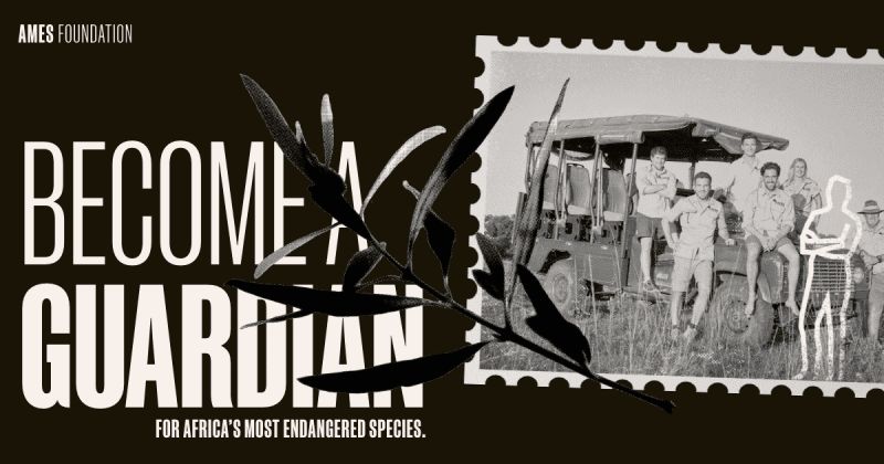 The Ames Foundation - Best Geometric Wallpapers in Full HD