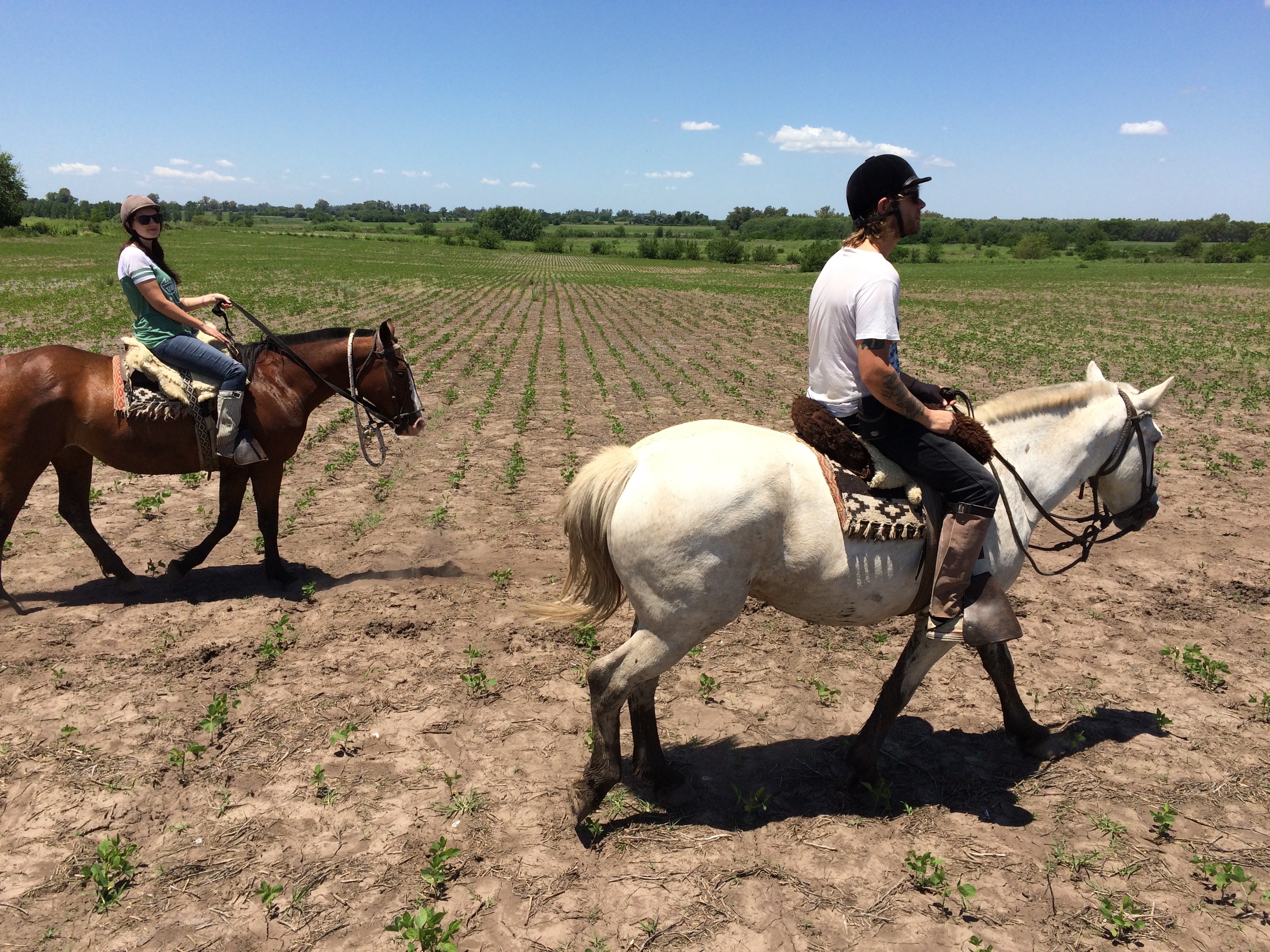 Riding through the pampas