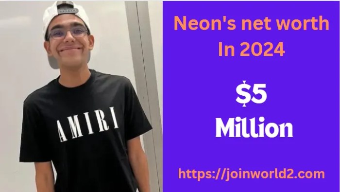 Neon Net Worth Revealed In 2024 And Biography - Joinworld2.com