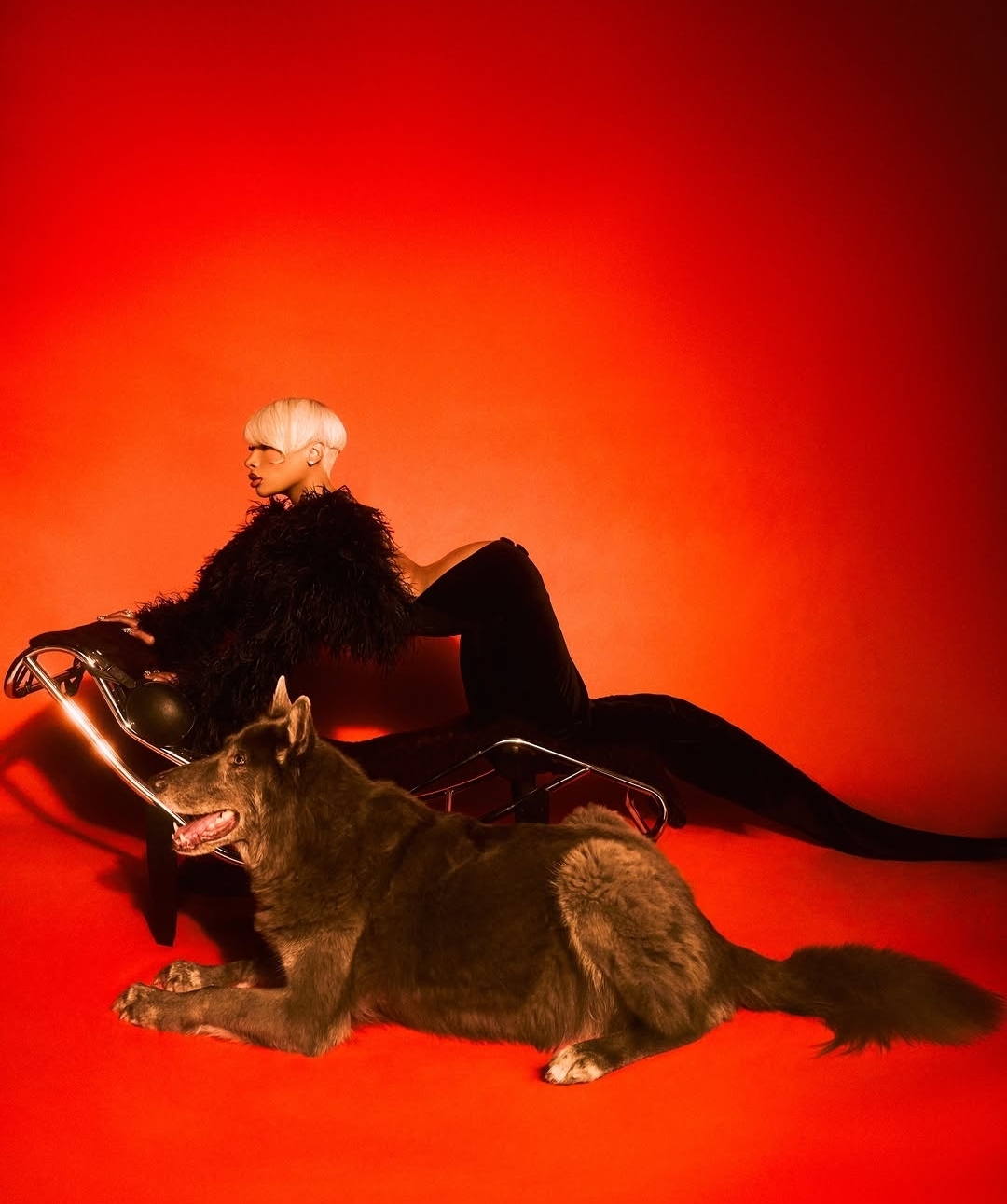 Meg new album