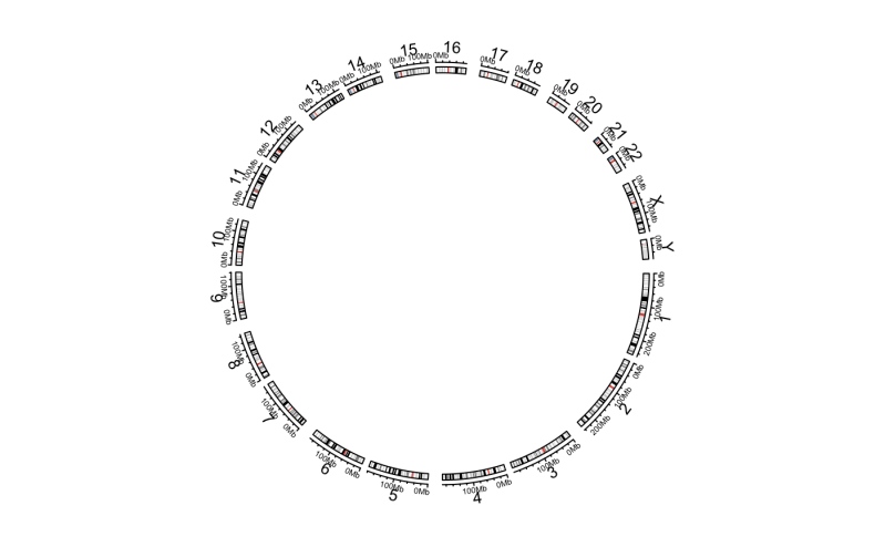 Initialize The Circular Layout With An Ideogram Circos - Best Geometric Wallpapers in 4K