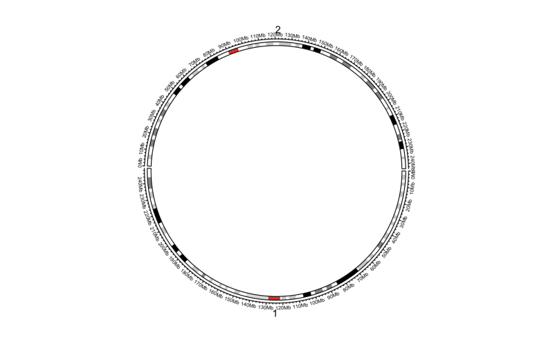 Initialize The Circular Layout With An Ideogram Circos - Retina Landscape Designs for Desktop