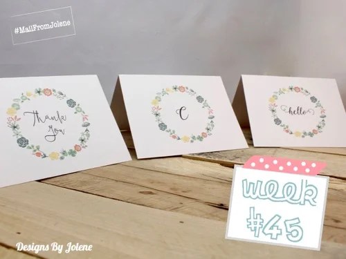 52 Weeks of Mail: Week #45 Succulent Note Card Collection