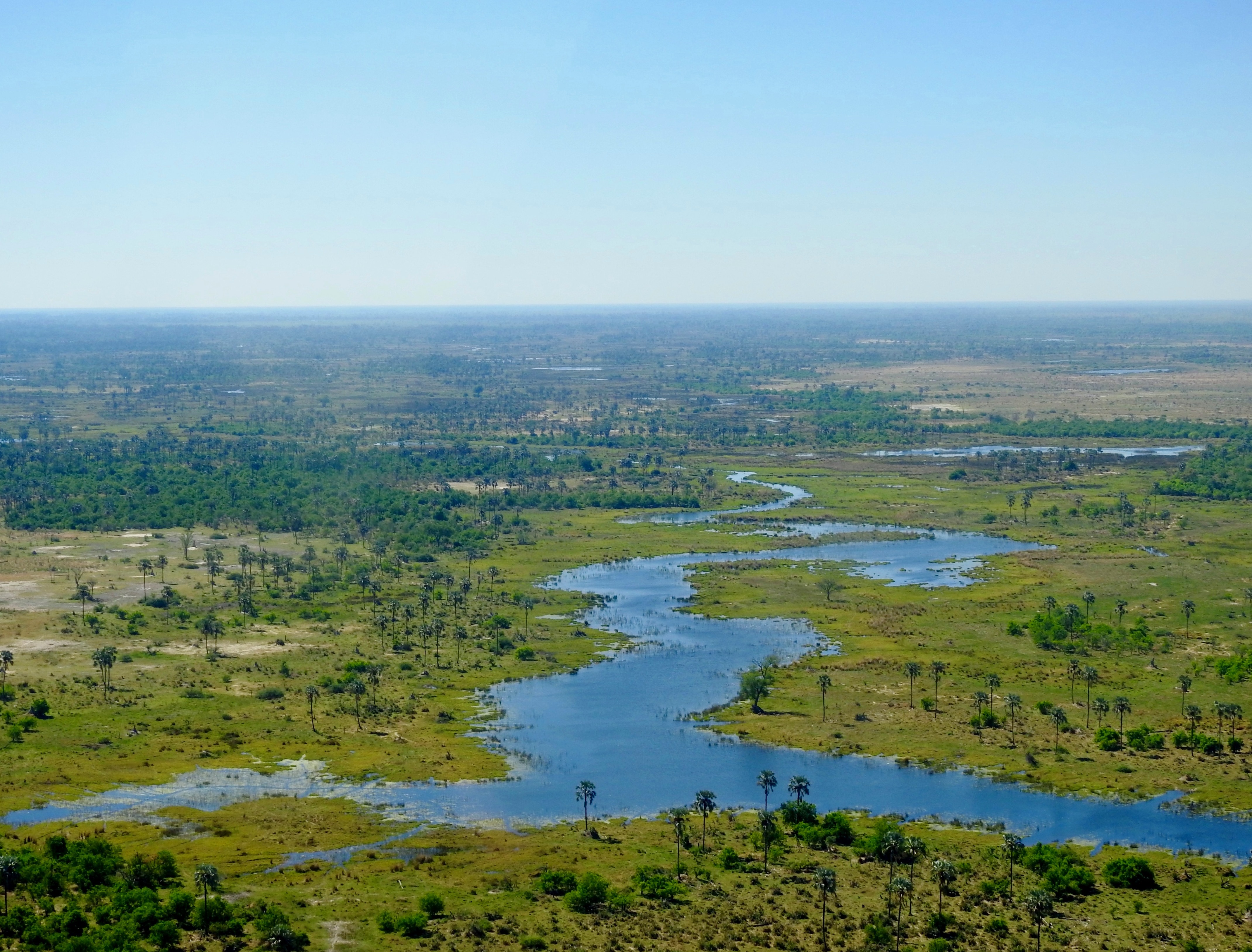 Okavango Delta