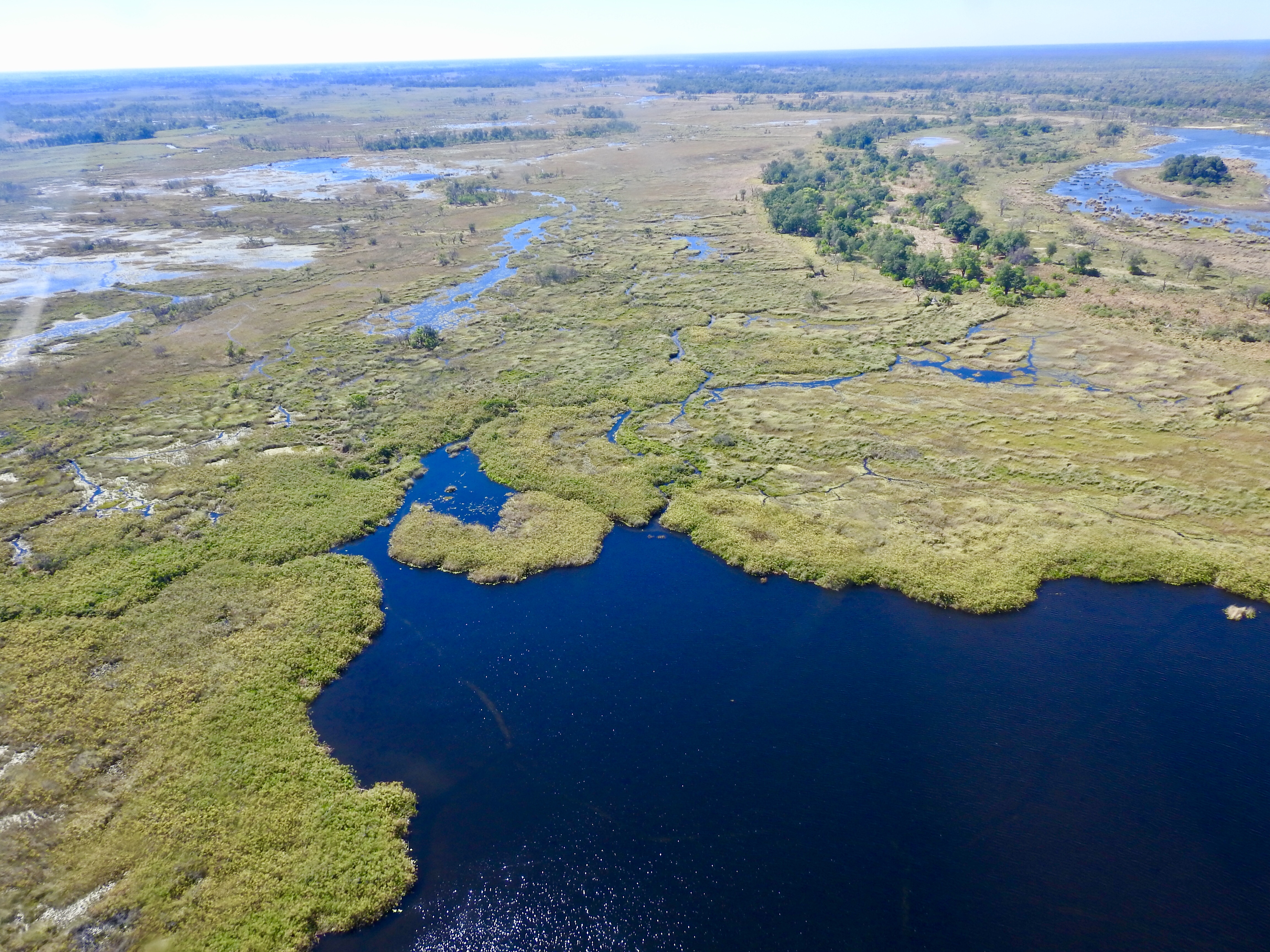 Okavango Delta